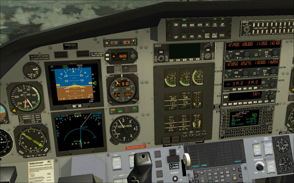 F1-P12_003.jpg